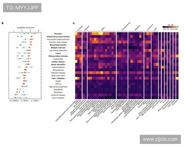 深圳飞盘队技术对比分析揭示团队优势与发展潜力